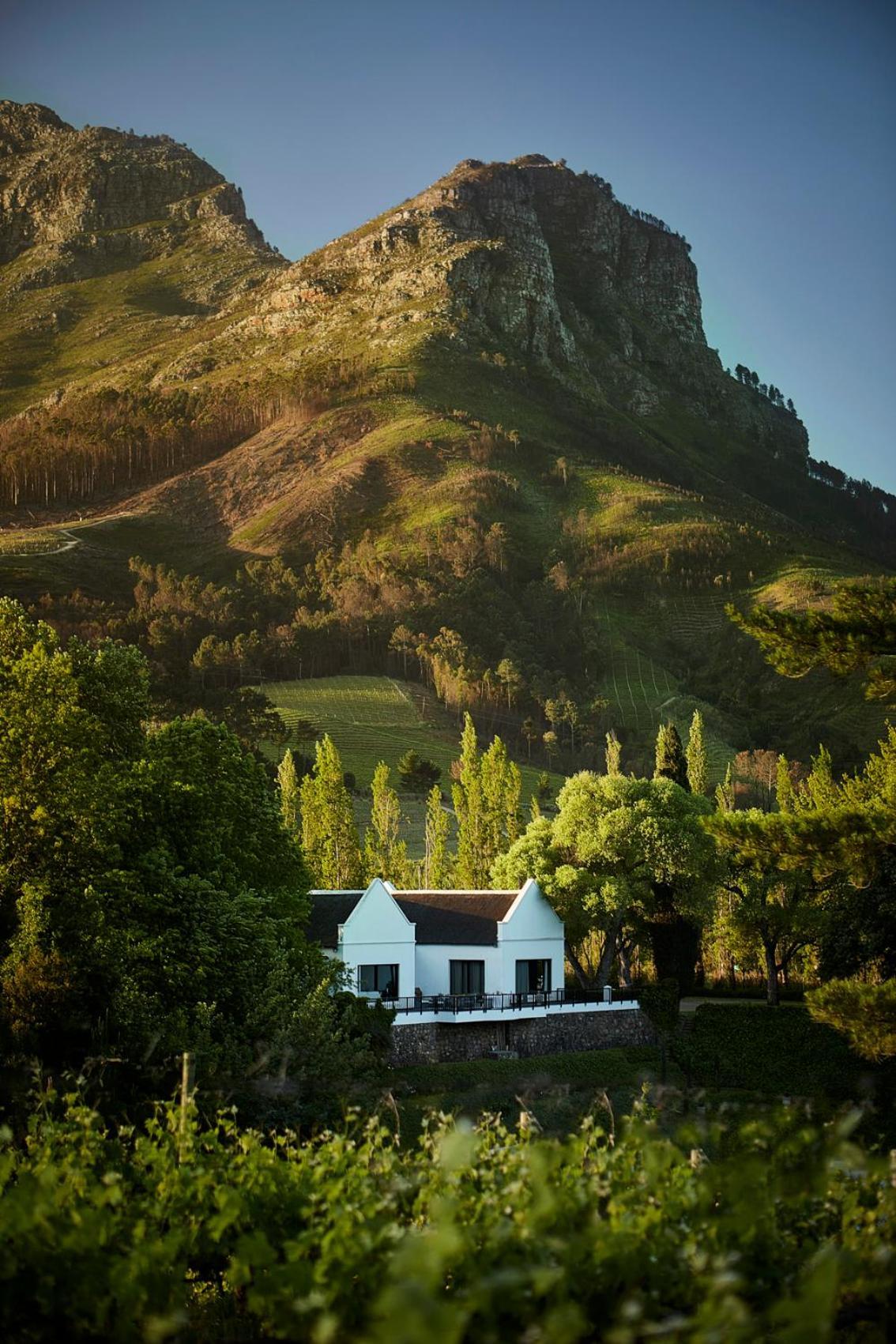 Hotel Molenvliet Vineyards Municipalità locale di Municipalità locale di Stellenbosch Esterno foto