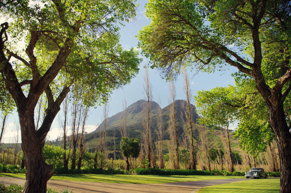 Hotel Molenvliet Vineyards Municipalità locale di Municipalità locale di Stellenbosch Esterno foto